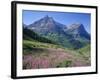 USA, Montana, Glacier National Park, Mount Oberlin and Mount Cannon Rise Beyond Meadow of Fireweed-John Barger-Framed Photographic Print