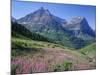 USA, Montana, Glacier National Park, Mount Oberlin and Mount Cannon Rise Beyond Meadow of Fireweed-John Barger-Mounted Photographic Print