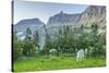 USA, Montana, Glacier National Park. Mountain goat grazing in meadow.-Jaynes Gallery-Stretched Canvas