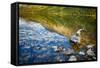 USA, Montana, Glacier National Park, Two Medicine Lake-Rona Schwarz-Framed Stretched Canvas