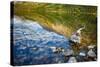 USA, Montana, Glacier National Park, Two Medicine Lake-Rona Schwarz-Stretched Canvas