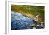 USA, Montana, Glacier National Park, Two Medicine Lake-Rona Schwarz-Framed Photographic Print