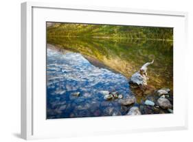 USA, Montana, Glacier National Park, Two Medicine Lake-Rona Schwarz-Framed Photographic Print