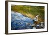 USA, Montana, Glacier National Park, Two Medicine Lake-Rona Schwarz-Framed Photographic Print