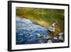 USA, Montana, Glacier National Park, Two Medicine Lake-Rona Schwarz-Framed Photographic Print