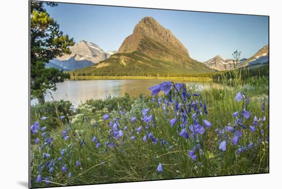 USA, Montana, Glacier National Park. USA, Montana, Glacier National Park, Swiftcurrent Lake, Grinne-Jaynes Gallery-Mounted Photographic Print