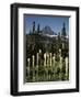 USA, Montana, Glacier NP, Bear Grass (Xerophyllum Tenax) Wildflowers-Christopher Talbot Frank-Framed Photographic Print