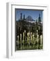 USA, Montana, Glacier NP, Bear Grass (Xerophyllum Tenax) Wildflowers-Christopher Talbot Frank-Framed Photographic Print