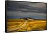 USA, Montana. Highway En Route to Helena from Glacier National Park on Stormy Day-Rona Schwarz-Framed Stretched Canvas