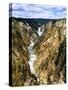 USA, Montana, Lower Yellowstone Falls in the Yellowstone-Jaynes Gallery-Stretched Canvas