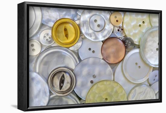 USA, Montana, Missoula. Mother-of-pearl buttons.-Jaynes Gallery-Framed Photographic Print