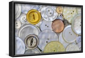 USA, Montana, Missoula. Mother-of-pearl buttons.-Jaynes Gallery-Framed Photographic Print