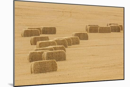 Usa, Montana, near Drummond. Bales of hay in a field that has just been harvested.-Tom Haseltine-Mounted Photographic Print