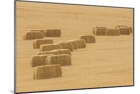 Usa, Montana, near Drummond. Bales of hay in a field that has just been harvested.-Tom Haseltine-Mounted Photographic Print