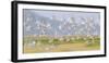 USA, Montana, Red Rock Lakes, Flock of Franklyns Gulls in Flight-Elizabeth Boehm-Framed Photographic Print