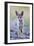 USA, Montana, Red Rock Lakes National Wildlife Refuge, Coyote pup standing in roadway-Elizabeth Boehm-Framed Photographic Print