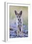 USA, Montana, Red Rock Lakes National Wildlife Refuge, Coyote pup standing in roadway-Elizabeth Boehm-Framed Photographic Print