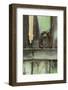 USA, Montana. Rusty Horseshoe on Old Fence-Jaynes Gallery-Framed Photographic Print