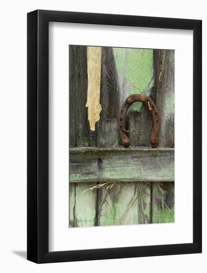 USA, Montana. Rusty Horseshoe on Old Fence-Jaynes Gallery-Framed Photographic Print