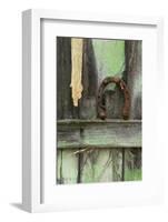 USA, Montana. Rusty Horseshoe on Old Fence-Jaynes Gallery-Framed Photographic Print