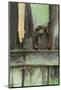 USA, Montana. Rusty Horseshoe on Old Fence-Jaynes Gallery-Mounted Photographic Print