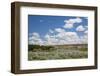 USA, Montana, Upper Missouri River Breaks NMo, view of Missouri River.-Jamie & Judy Wild-Framed Photographic Print