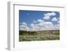 USA, Montana, Upper Missouri River Breaks NMo, view of Missouri River.-Jamie & Judy Wild-Framed Photographic Print