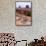 USA, Monument Valley, Observation Terrace-Catharina Lux-Framed Stretched Canvas displayed on a wall