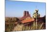 USA, Monument Valley-Catharina Lux-Mounted Photographic Print