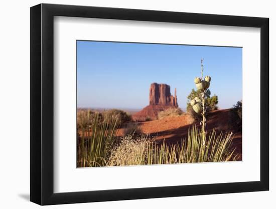 USA, Monument Valley-Catharina Lux-Framed Photographic Print