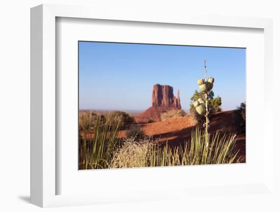 USA, Monument Valley-Catharina Lux-Framed Photographic Print