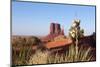 USA, Monument Valley-Catharina Lux-Mounted Photographic Print
