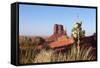 USA, Monument Valley-Catharina Lux-Framed Stretched Canvas