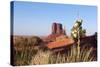 USA, Monument Valley-Catharina Lux-Stretched Canvas