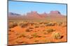 USA, Monument Valley-Catharina Lux-Mounted Photographic Print