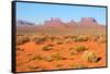 USA, Monument Valley-Catharina Lux-Framed Stretched Canvas