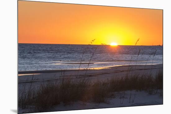 USA, MS, Bay St Louis. Sun Sets Gulf of Mexico. Beach Grasses-Trish Drury-Mounted Premium Photographic Print