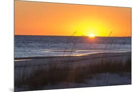 USA, MS, Bay St Louis. Sun Sets Gulf of Mexico. Beach Grasses-Trish Drury-Mounted Premium Photographic Print