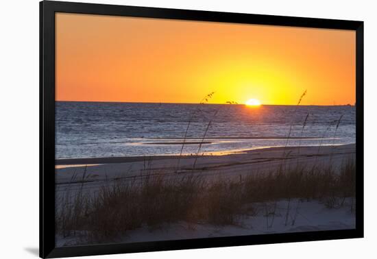 USA, MS, Bay St Louis. Sun Sets Gulf of Mexico. Beach Grasses-Trish Drury-Framed Photographic Print