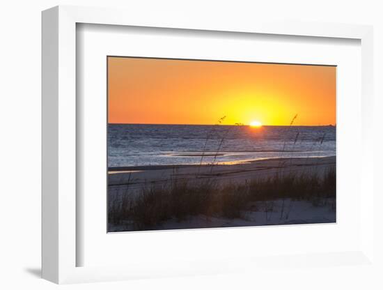 USA, MS, Bay St Louis. Sun Sets Gulf of Mexico. Beach Grasses-Trish Drury-Framed Photographic Print