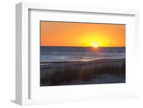 USA, MS, Bay St Louis. Sun Sets Gulf of Mexico. Beach Grasses-Trish Drury-Framed Photographic Print