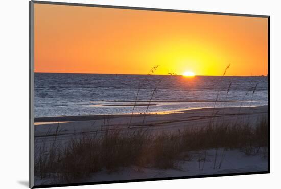 USA, MS, Bay St Louis. Sun Sets Gulf of Mexico. Beach Grasses-Trish Drury-Mounted Photographic Print