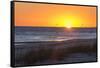 USA, MS, Bay St Louis. Sun Sets Gulf of Mexico. Beach Grasses-Trish Drury-Framed Stretched Canvas