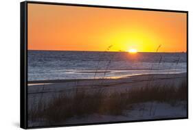 USA, MS, Bay St Louis. Sun Sets Gulf of Mexico. Beach Grasses-Trish Drury-Framed Stretched Canvas