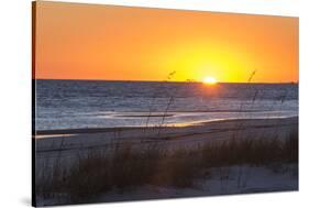 USA, MS, Bay St Louis. Sun Sets Gulf of Mexico. Beach Grasses-Trish Drury-Stretched Canvas