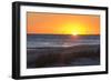 USA, MS, Bay St Louis. Sun Sets Gulf of Mexico. Beach Grasses-Trish Drury-Framed Photographic Print