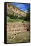 USA, Near Los Alamos, New Mexico, Bandelier National Monument, Big Kiva-null-Framed Stretched Canvas