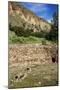 USA, Near Los Alamos, New Mexico, Bandelier National Monument, Big Kiva-null-Mounted Giclee Print