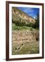 USA, Near Los Alamos, New Mexico, Bandelier National Monument, Big Kiva-null-Framed Giclee Print