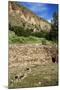 USA, Near Los Alamos, New Mexico, Bandelier National Monument, Big Kiva-null-Mounted Giclee Print